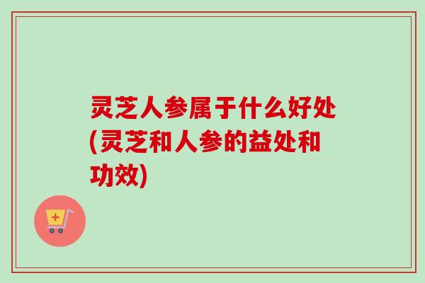 灵芝人参属于什么好处(灵芝和人参的益处和功效)