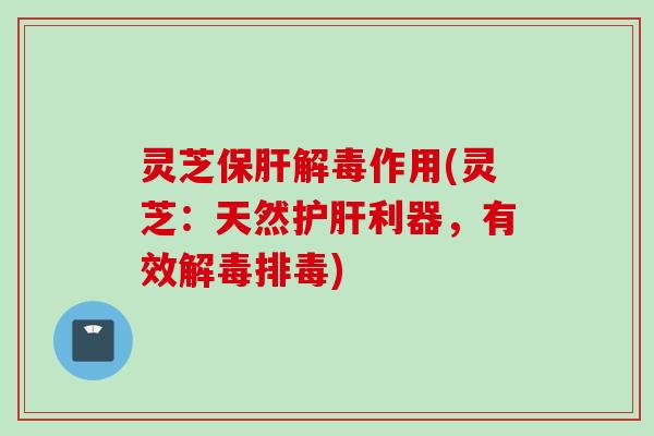 灵芝保肝解毒作用(灵芝：天然护肝利器，有效解毒排毒)