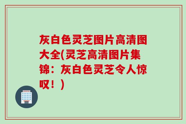 灰白色灵芝图片高清图大全(灵芝高清图片集锦：灰白色灵芝令人惊叹！)