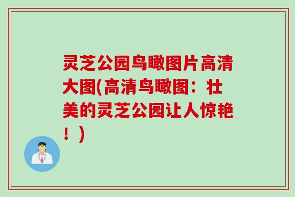 灵芝公园鸟瞰图片高清大图(高清鸟瞰图：壮美的灵芝公园让人惊艳！)