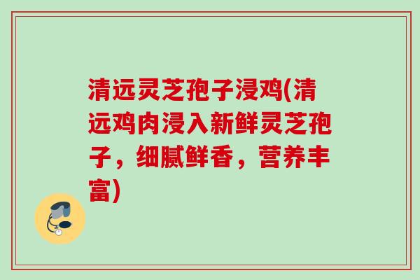 清远灵芝孢子浸鸡(清远鸡肉浸入新鲜灵芝孢子，细腻鲜香，营养丰富)
