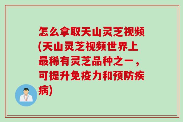 怎么拿取天山灵芝视频(天山灵芝视频世界上最稀有灵芝品种之一，可提升免疫力和预防疾病)