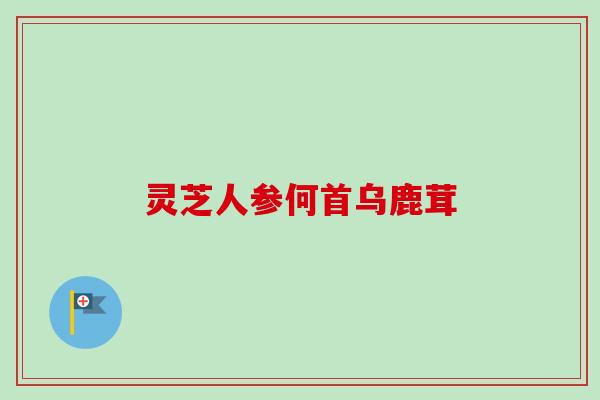 灵芝人参何首乌鹿茸 灵芝人参何首乌鹿茸