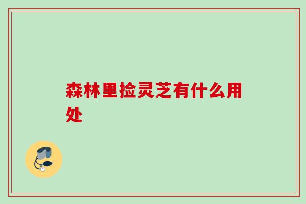 森林里捡灵芝有什么用处