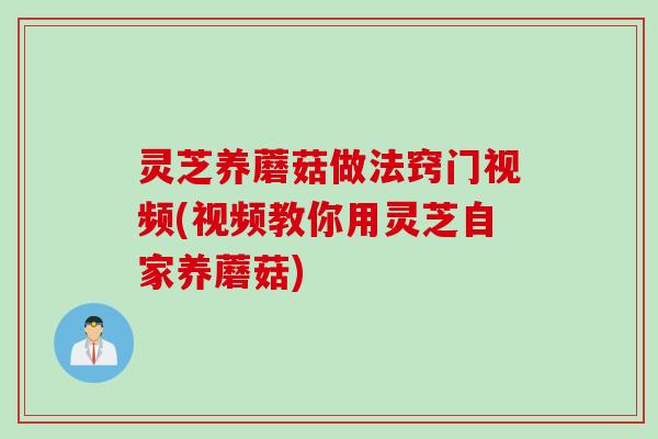 灵芝养蘑菇做法窍门视频(视频教你用灵芝自家养蘑菇)