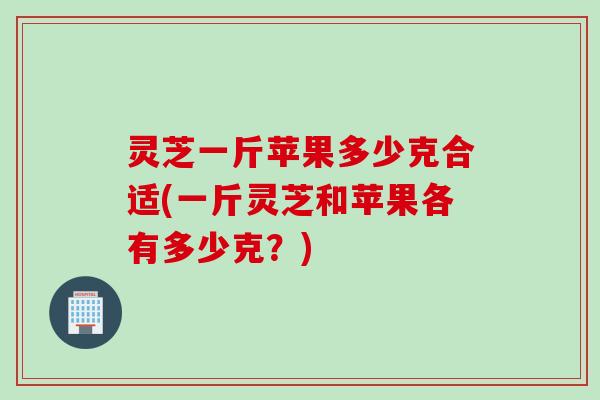 灵芝一斤苹果多少克合适(一斤灵芝和苹果各有多少克？)