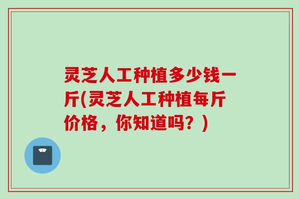 灵芝人工种植多少钱一斤(灵芝人工种植每斤价格，你知道吗？)