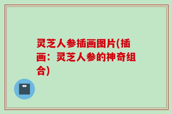灵芝人参插画图片(插画：灵芝人参的神奇组合)