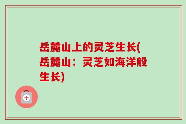 岳麓山上的灵芝生长(岳麓山：灵芝如海洋般生长)
