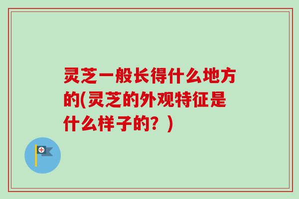 灵芝一般长得什么地方的(灵芝的外观特征是什么样子的？)