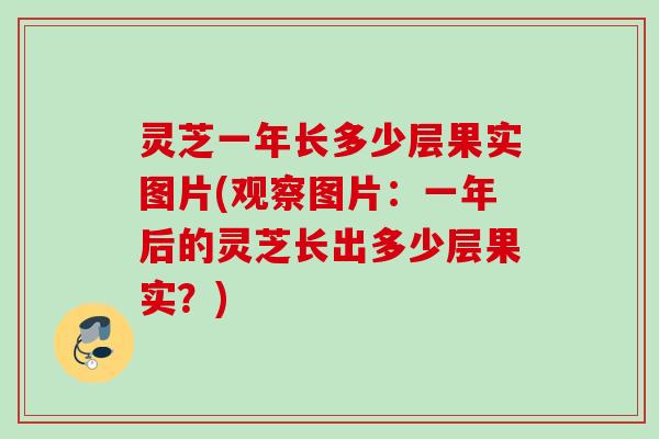 灵芝一年长多少层果实图片(观察图片：一年后的灵芝长出多少层果实？)
