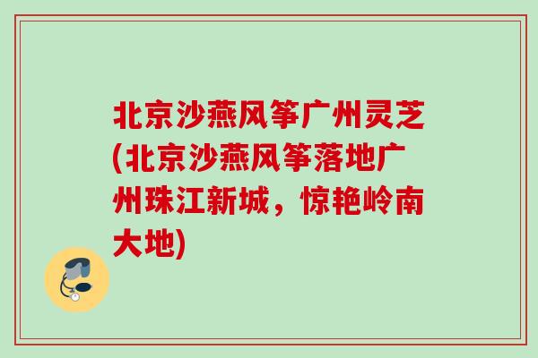 北京沙燕风筝广州灵芝(北京沙燕风筝落地广州珠江新城，惊艳岭南大地)