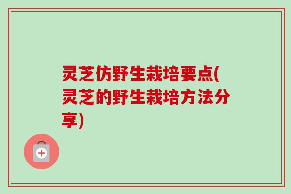 灵芝仿野生栽培要点(灵芝的野生栽培方法分享) 灵芝仿野生栽培要点(灵芝的野生栽培方法分享)