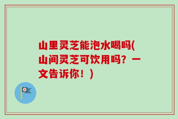 山里灵芝能泡水喝吗(山间灵芝可饮用吗?一文告诉你!) 山里灵芝能泡水喝吗(山间灵芝可饮用吗?一文告诉你!)