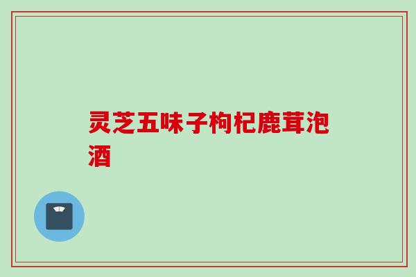 灵芝五味子枸杞鹿茸泡酒