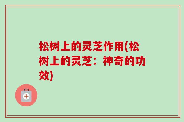 松树上的灵芝作用(松树上的灵芝：神奇的功效)