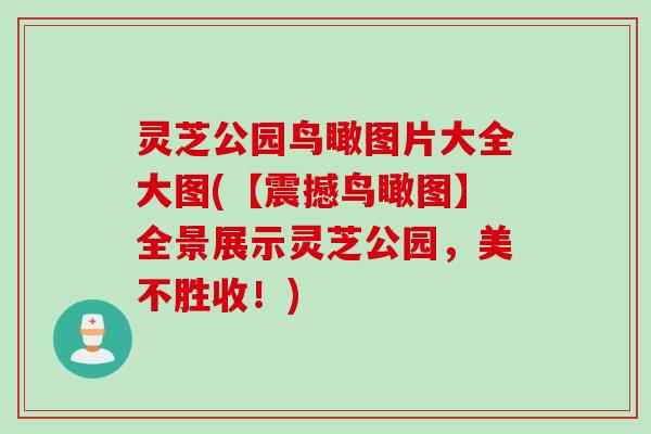 灵芝公园鸟瞰图片大全大图(【震撼鸟瞰图】全景展示灵芝公园，美不胜收！)