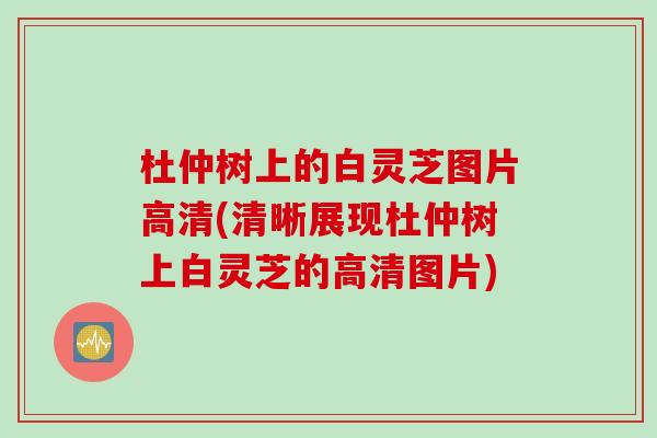 杜仲树上的白灵芝图片高清(清晰展现杜仲树上白灵芝的高清图片)