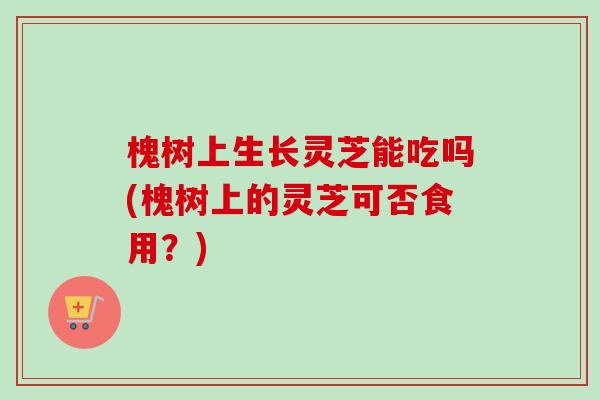 槐树上生长灵芝能吃吗(槐树上的灵芝可否食用？)