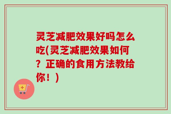 灵芝减肥效果好吗怎么吃(灵芝减肥效果如何？正确的食用方法教给你！)