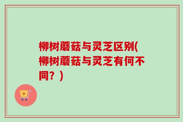 柳树蘑菇与灵芝区别(柳树蘑菇与灵芝有何不同?) 柳树蘑菇与灵芝区别(柳树蘑菇与灵芝有何不同?)