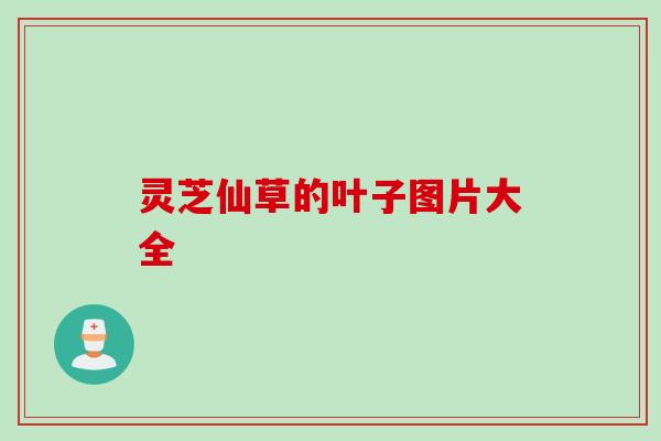 灵芝仙草的叶子图片大全 灵芝仙草的叶子图片大全