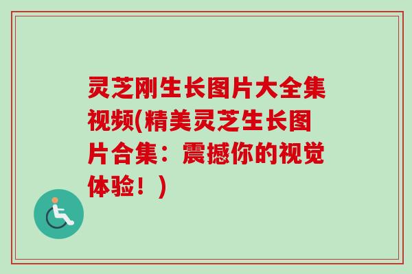 灵芝刚生长图片大全集视频(精美灵芝生长图片合集：震撼你的视觉体验！)