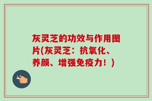 灰灵芝的功效与作用图片(灰灵芝：抗氧化、养颜、增强免疫力！)