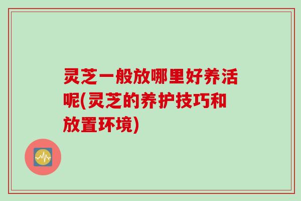 灵芝一般放哪里好养活呢(灵芝的养护技巧和放置环境)