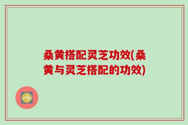 桑黄搭配灵芝功效(桑黄与灵芝搭配的功效)