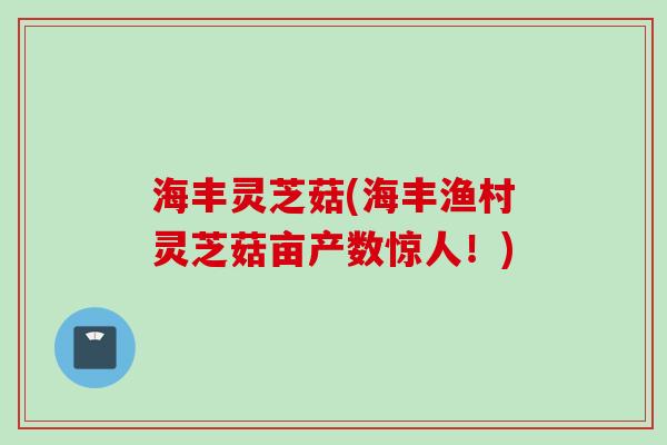 海丰灵芝菇(海丰渔村灵芝菇亩产数惊人！)