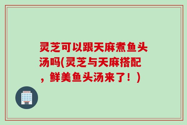灵芝可以跟天麻煮鱼头汤吗(灵芝与天麻搭配，鲜美鱼头汤来了！)