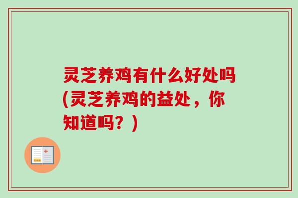 灵芝养鸡有什么好处吗(灵芝养鸡的益处，你知道吗？)