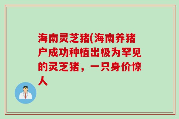 海南灵芝猪(海南养猪户成功种植出极为罕见的灵芝猪，一只身价惊人