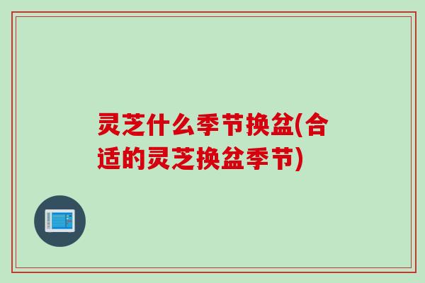 灵芝什么季节换盆(合适的灵芝换盆季节)