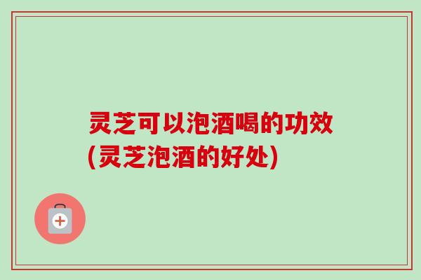 灵芝可以泡酒喝的功效(灵芝泡酒的好处)