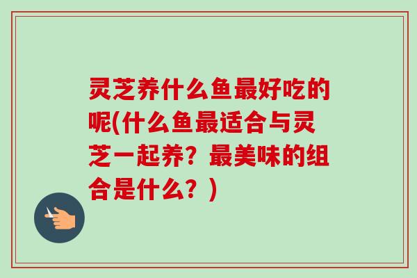 灵芝养什么鱼最好吃的呢(什么鱼最适合与灵芝一起养？最美味的组合是什么？)