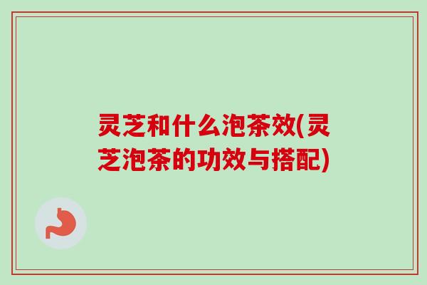 灵芝和什么泡茶效(灵芝泡茶的功效与搭配) 灵芝和什么泡茶效(灵芝泡茶的功效与搭配)