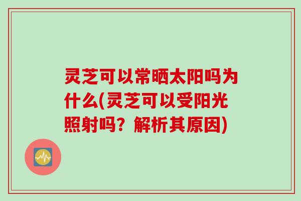 灵芝可以常晒太阳吗为什么(灵芝可以受阳光照射吗？解析其原因)