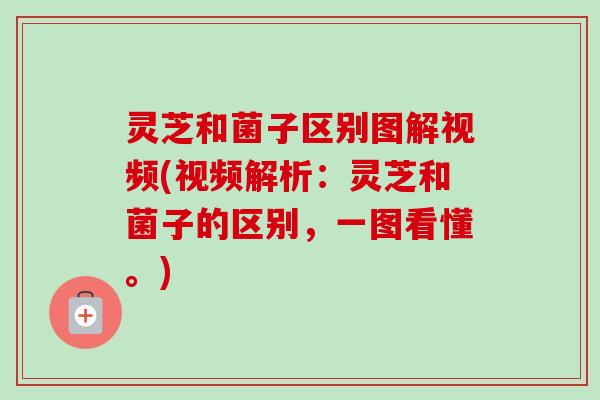 灵芝和菌子区别图解视频(视频解析：灵芝和菌子的区别，一图看懂。)