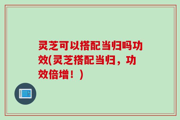 灵芝可以搭配当归吗功效(灵芝搭配当归，功效倍增！)