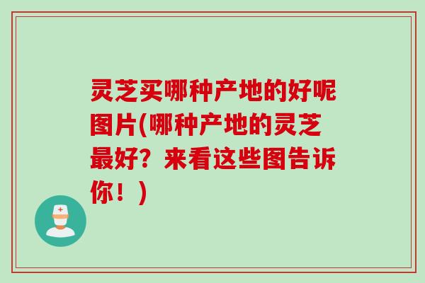 灵芝买哪种产地的好呢图片(哪种产地的灵芝最好？来看这些图告诉你！)