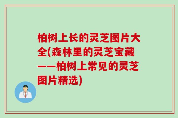 柏树上长的灵芝图片大全(森林里的灵芝宝藏——柏树上常见的灵芝图片精选)