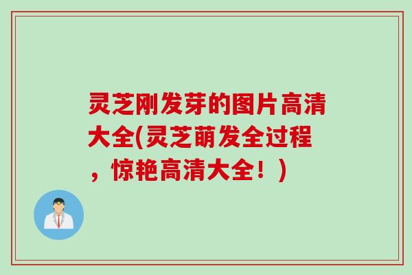 灵芝刚发芽的图片高清大全(灵芝萌发全过程，惊艳高清大全！)