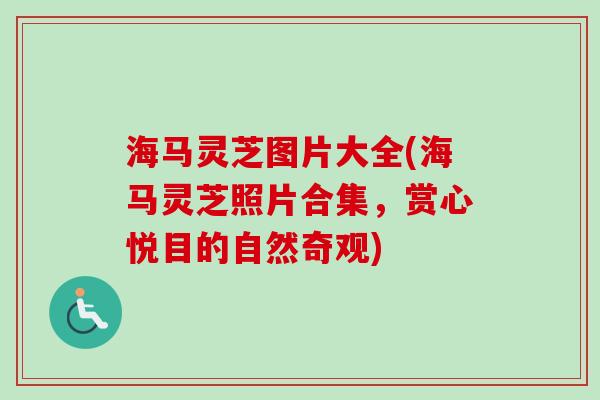 海马灵芝图片大全(海马灵芝照片合集，赏心悦目的自然奇观)