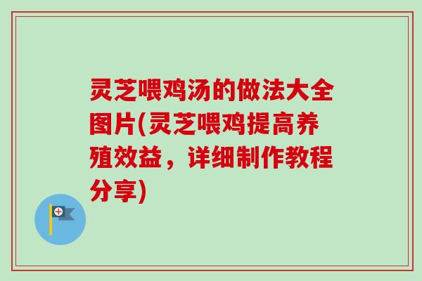 灵芝喂鸡汤的做法大全图片(灵芝喂鸡提高养殖效益，详细制作教程分享)
