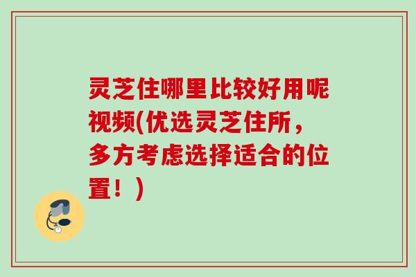 灵芝住哪里比较好用呢视频(优选灵芝住所，多方考虑选择适合的位置！)