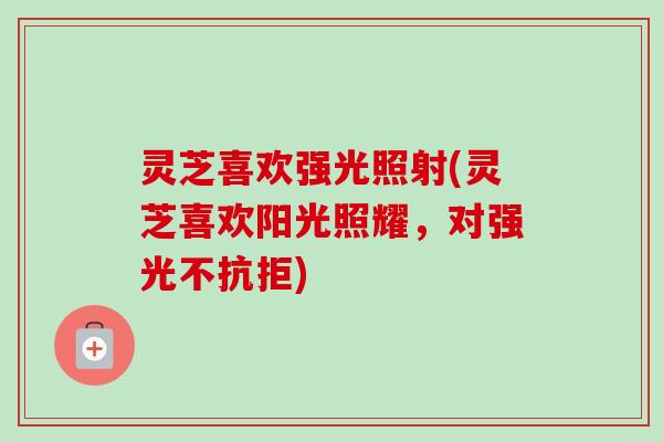 灵芝喜欢强光照射(灵芝喜欢阳光照耀，对强光不抗拒)