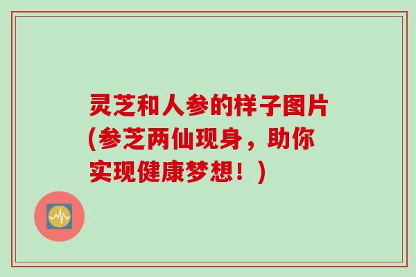 灵芝和人参的样子图片(参芝两仙现身，助你实现健康梦想！)