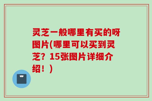 灵芝一般哪里有买的呀图片(哪里可以买到灵芝？15张图片详细介绍！)
